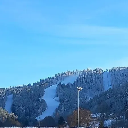 Lumineux Avec Balcon