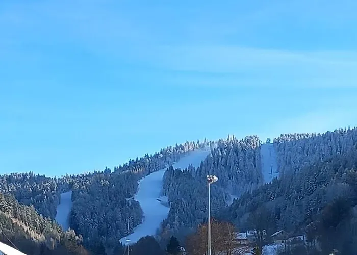 Lumineux Avec Balcon